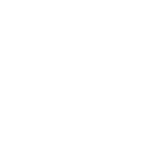 COLUNA VERTEBRAL